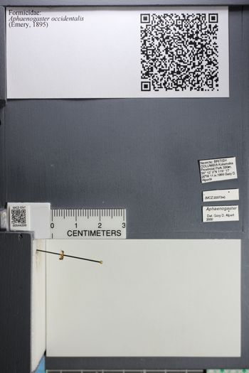 Media type: image;   Entomology 544299